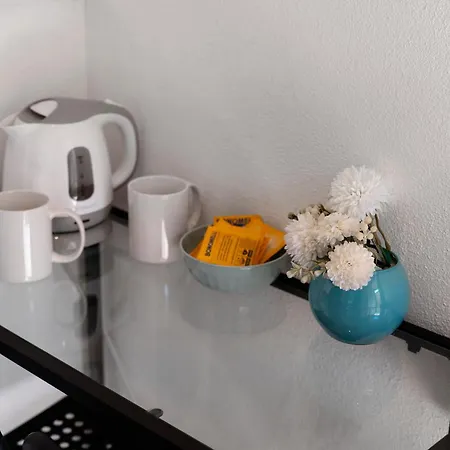 Elicriso 3* Borzonasca