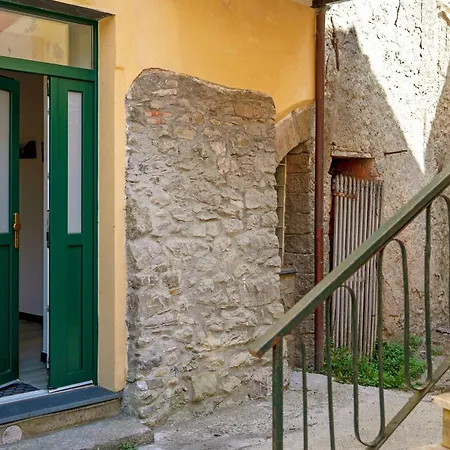 Elicriso 3* Borzonasca